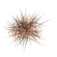 Fototapeta premium wild field grass, top view, isolated on a transparent background, 3D illustration, cg render