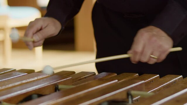 Man playing the xylophone or glockenspiel percussion instrument