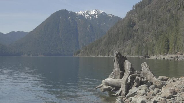 A stump on the shore of a lake in in the Olympic Mountains of Washington state.  Shot in 4K