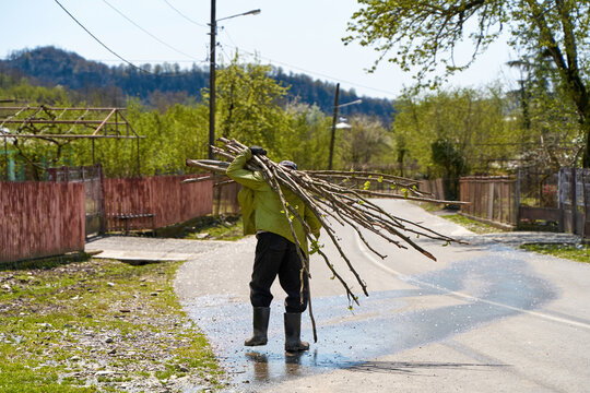The old man is carrying home a bundle of branches that he gathered in the woods