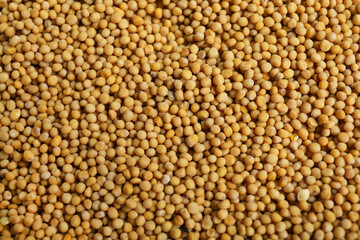 Aromatic mustard seeds as background, top view