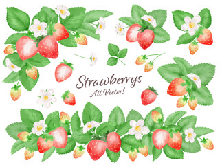苺の水彩風ベクターイラストセット　主線なし
