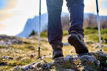 Legs of a hiker in trekking boots walking in the mountains with Nordic walking poles closeup shot....