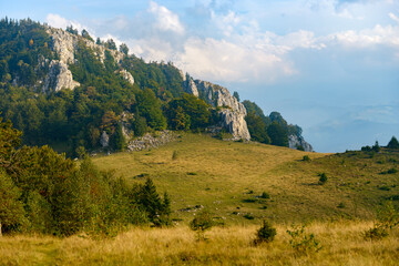 Naklejka premium Beautiful alpine scenery of mountain grassy slopes and high cliffs and rocks covered with thick lush forests, cloudy hills and valleys in the background. Eco Travel and outdoor adventures concept