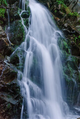 Obraz premium Beautiful mountain rainforest waterfall with fast flowing water and rocks, long exposure. Natural seasonal travel outdoor background with sun shining. Stream waterfall on rocks in the forest