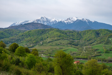 Obraz premium Beautiful view of idyllic alpine mountain scenery in springtime with blooming meadows, hills with forests that are starting to turn green and snowcapped Bucegi (Brasov, Romania) mountain peaks