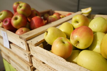A huge number of fresh apples of different varieties on a big sale