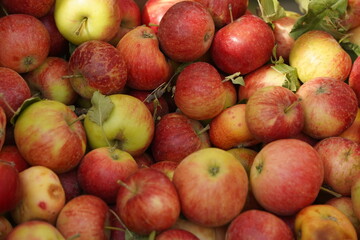 A huge number of fresh apples of different varieties on a big sale