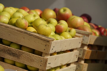 A huge number of fresh apples of different varieties on a big sale