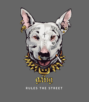 Gang Rules The Street Slogan With Bad Look Dog In Gold Spike Collar Vector Illustration