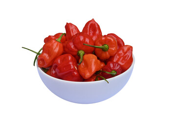 Side view of ripe Capsicum Chinese chili pepper pods put on small ceramic bowl in isolated the background