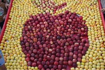 A huge number of fresh apples of different varieties on a big sale