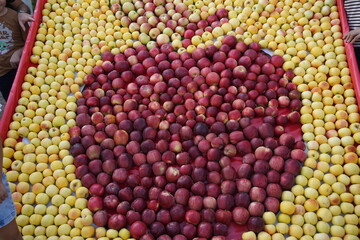 A huge number of fresh apples of different varieties on a big sale