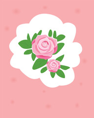 pink background with roses very beautiful