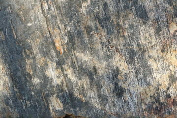 Background image of detailed rock surface.