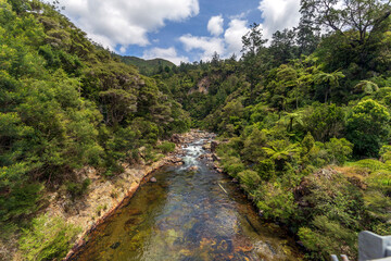 Karangahake Gorge with Waitawheta River flowing through the native rainforest
