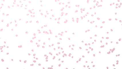 桜の花びら　小さい