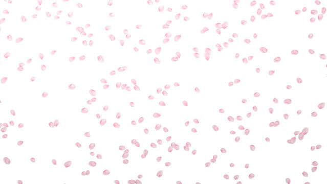 桜吹雪 Images – Browse 26,081 Stock Photos, Vectors, and 桜吹雪 Images – Browse 26,081 Stock Photos, Vectors, and