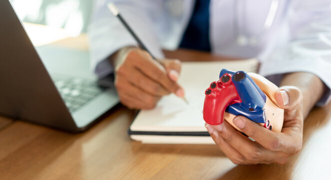 close up cardiologist expertise hold heart model and diagnosis about symptom to advise to patient about therapy of heart attack in office at clinic for health insurance lifestyle concept	
