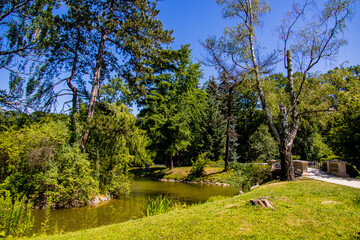 Fototapeta na wymiar summer landscape with a pond Saski Garden Warsaw Poland green trees warm day