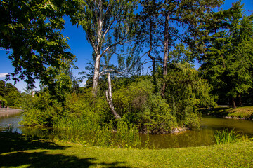  summer landscape with a pond Saski Garden Warsaw Poland green trees warm day