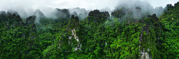 Morning mist on the canopy in the mountains of the rainforest  - obrazy, fototapety, plakaty