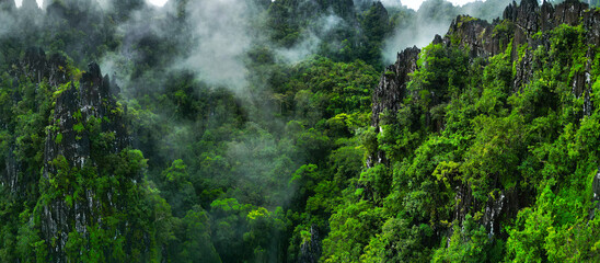 Naklejka na ściany i meble Morning mist on the canopy in the mountains of the rainforest 