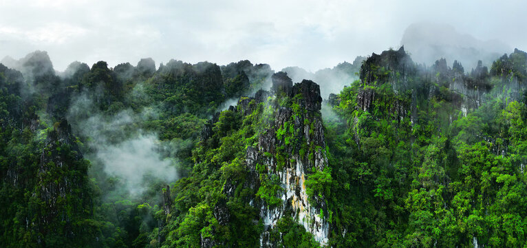 Morning mist on the canopy in the mountains of the rainforest 