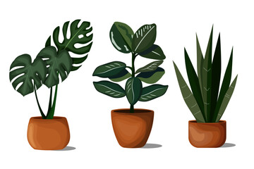 Vector set of tropical plants in pots of different sizes