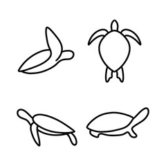 Turtle logo design template icon illustration