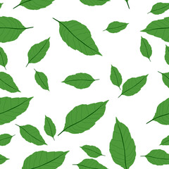 green leaf seamless pattern isolated on white background.