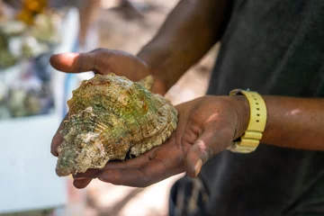 Crédence de cuisine en verre imprimé Plage de Nungwi, Tanzanie Different seashells for sale on a stall on Nungwi beach, Zanzibar, Tanzania