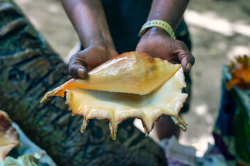Different seashells for sale on a stall on Nungwi beach, Zanzibar, Tanzania