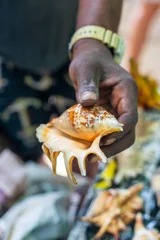 Crédence de cuisine en verre imprimé Plage de Nungwi, Tanzanie Different seashells for sale on a stall on Nungwi beach, Zanzibar, Tanzania