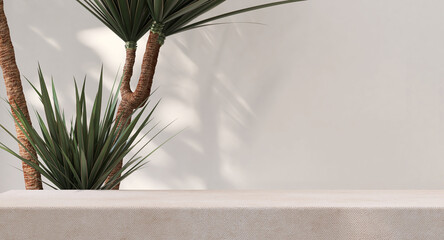 Soft beige cotton tablecloth on counter table, tropical dracaena tree in sunlight on white wall...
