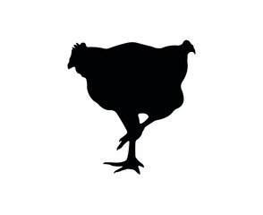 Vector chicken silhouette isolated on white background