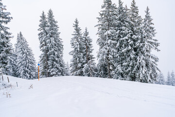 Wintry landscape in Austrian Alps near Jochberg. Winter in Austria