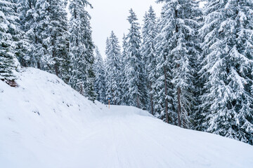 Fototapeta na wymiar Wintry landscape in Austrian Alps near Jochberg. Winter in Austria