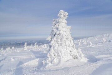 Fototapeta na wymiar Winter landscapes in the mountains. Karkonosze in Poland in winter.