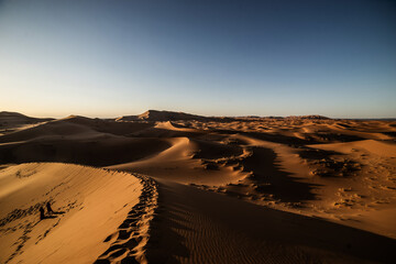 Fototapeta na wymiar sand dunes in the sahara desert at sunset