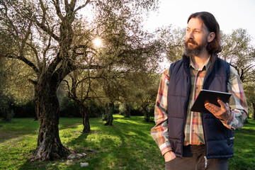 Farmer examines the garden of olive trees and sends data to the cloud from the tablet. Smart...
