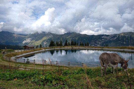 Trentino Alto Adige, the pearl of Italy