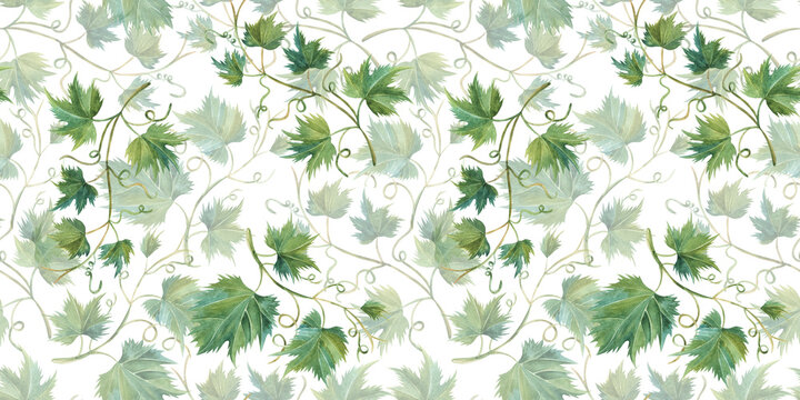 seamless pattern with watercolor grape leaves HAND DRAWN