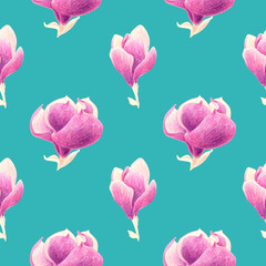 Seamless pattern of pink  magnolia flowers. Hand drawn illustration. Hand painted floral elements. Botanical natural objects on turquoise background.