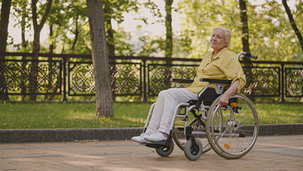 Fototapeta na wymiar Senior woman with disability sitting in wheelchair in park, social care and protection
