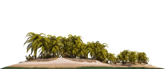 Island in the ocean Isolated on white background 3d illustration