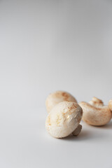 Champignons on a white background with an empty space