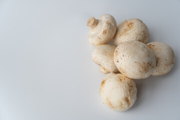 Champignons on a white background with an empty space