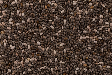 Chia seeds closeup