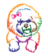 Bichon frise dog vector illustration abstract color portrait